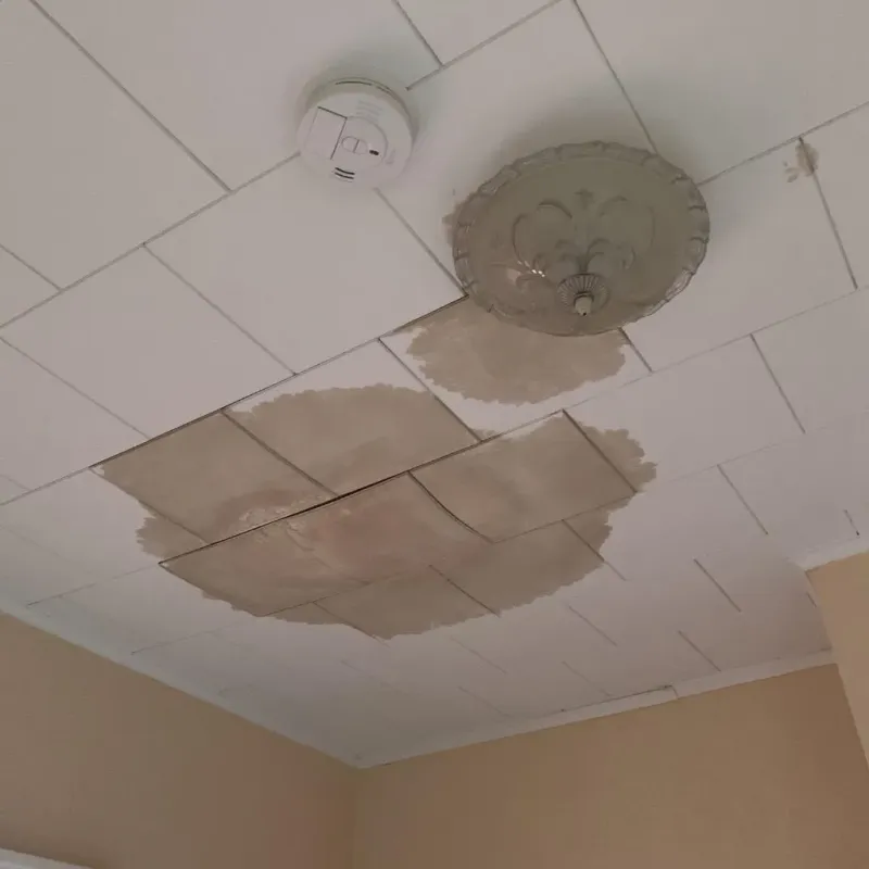 Ceiling Water Damage Repair in Roseau, MN