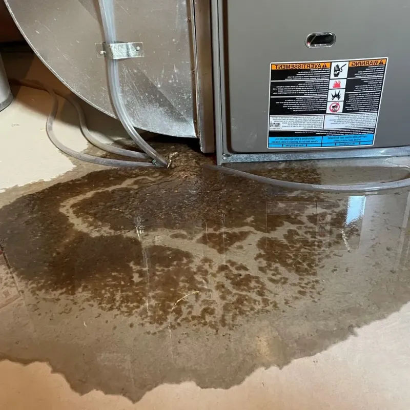 Pipe Burst and Leak Restoration in Roseau, MN